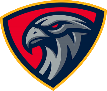 Niverville Nighthawks Primary Logo